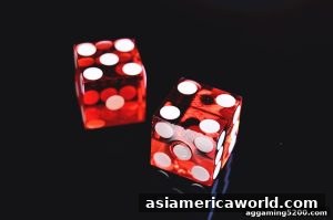 AG真人 asiamericaworld